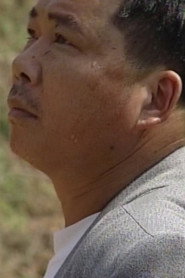 村官 封面