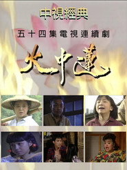 火中莲 封面