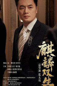 麒麟双生 封面