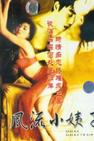 风情小姨子 封面