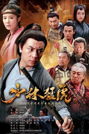武林猛虎 封面