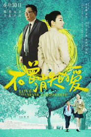 不曾消失的爱 封面