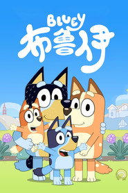 布鲁伊 封面
