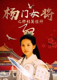 杨门女将之穆桂英挂帅 封面