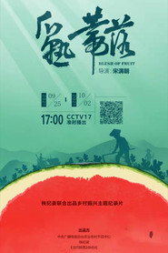 瓜熟蒂落 封面