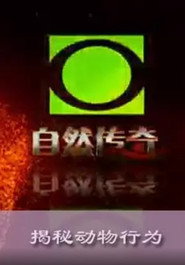 自然传奇 封面