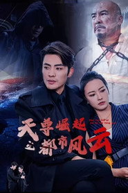 天尊崛起之都市风云 封面