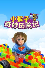 小猴子啵啵 封面