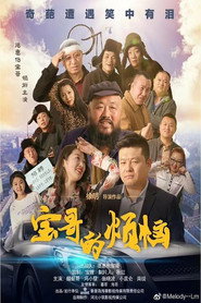 宝哥的烦恼 封面