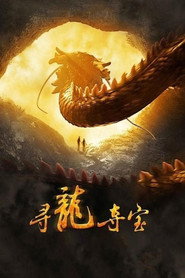 寻龙夺宝 封面