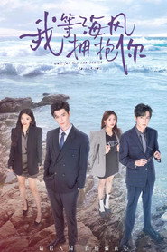我等海风拥抱你 封面