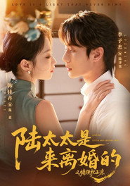 陆太太是来离婚的之慵便枕玉凉 封面