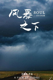 风暴之下 封面