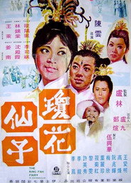 琼花仙子 封面