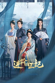 进阶的王妃 封面