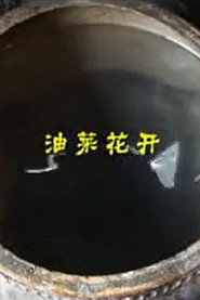 油菜花开 封面