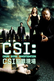 犯罪现场调查 封面