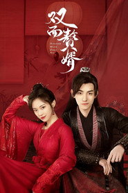 双面赘婿 封面