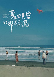 夏日天空的那匹红马 封面