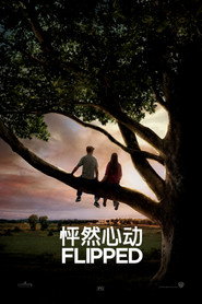 怦然心动 封面