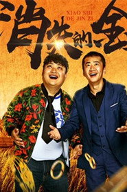 消失的金子 封面