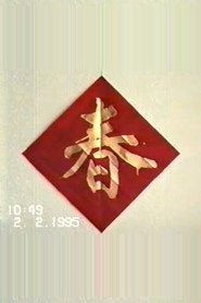 1995年2月2日民间举办迎喜花会 封面