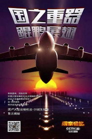 大国鲲鹏 封面