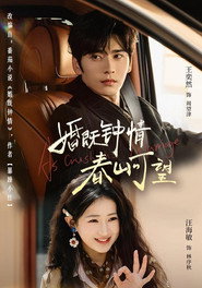 婚既钟情,春山可望 封面
