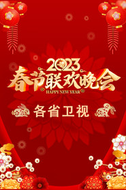 2023卫视春节联欢晚会 封面