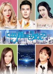 西雅图寻爱记 封面
