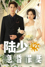 陆少的隐婚罪妻 封面