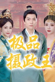 极品摄政王 封面