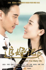 追婚记 封面