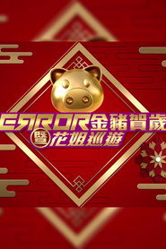 ERROR 金豬賀歲暨花姐巡遊 封面