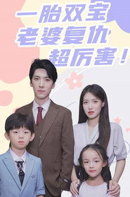 一胎双宝,老婆复仇超厉害! 封面