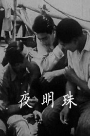 夜明珠 封面