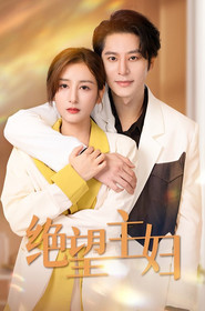 绝情主妇 封面