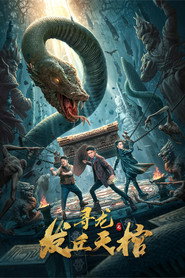 寻龙之发丘天棺 封面
