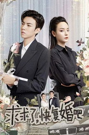 求求了,快复婚吧 封面