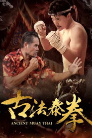 古法泰拳 封面