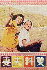 双料夫妻 封面