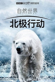 北极行动 封面