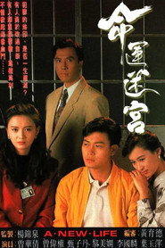 命运迷宫 封面