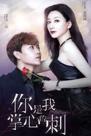 你是我掌心的刺 封面