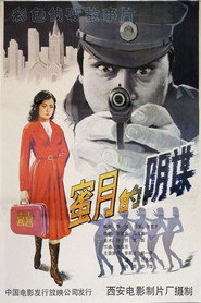 蜜月的阴谋 封面