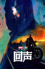回声 封面