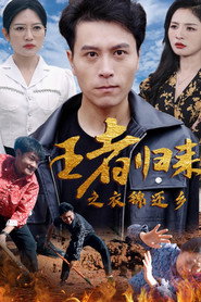 王者归来之衣锦还乡 封面