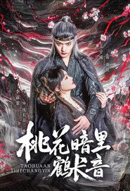 桃花暗里鹤长音 封面
