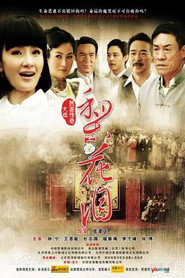 梨花泪 封面