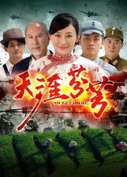 天涯芬芳 封面